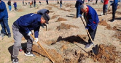 【市城市燃熱集團富泰熱力】公司組織員工參加義務(wù)植樹